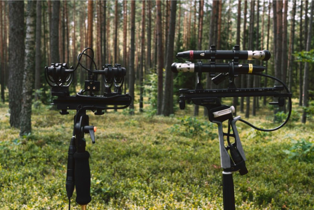 A pair of microphones in the forest