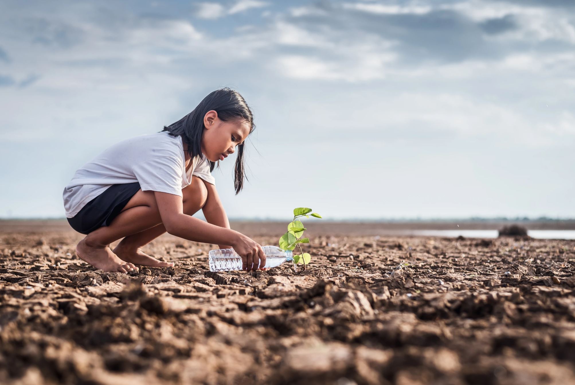 Child Watering a Green shoot