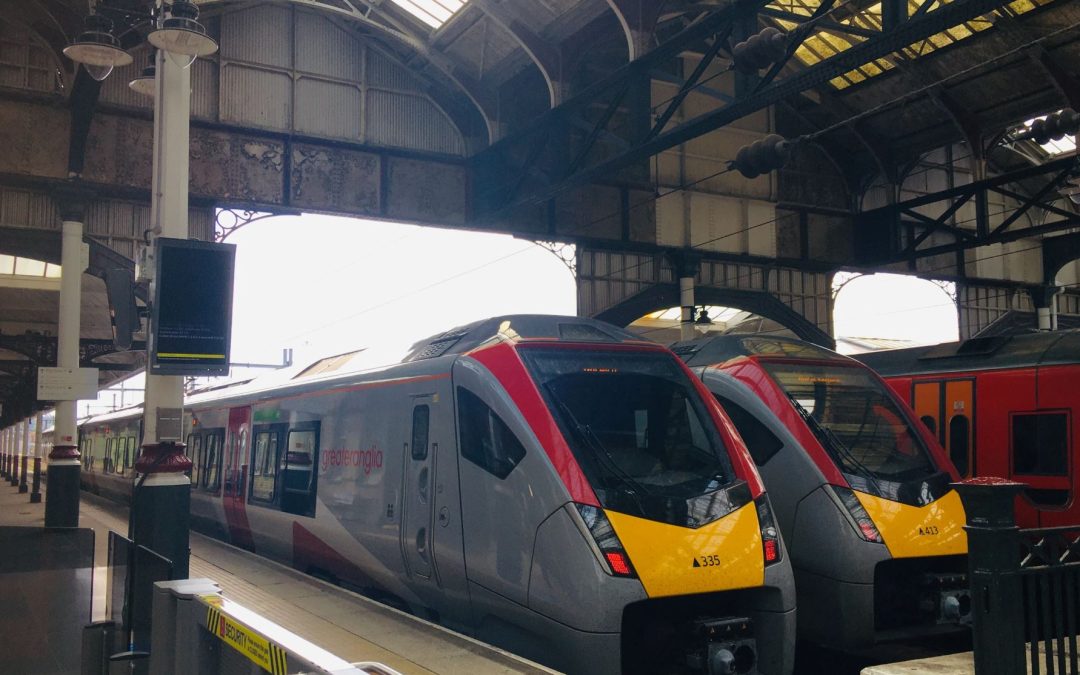 Two Trains at Station Platform