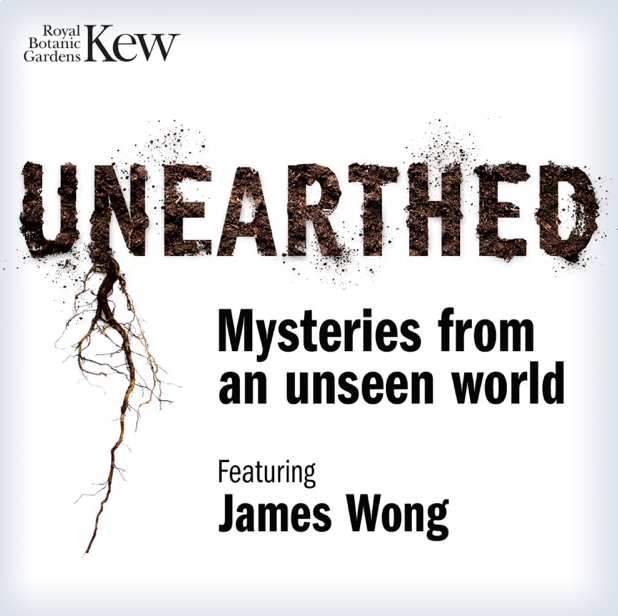 Kew Gardens UnEarthed